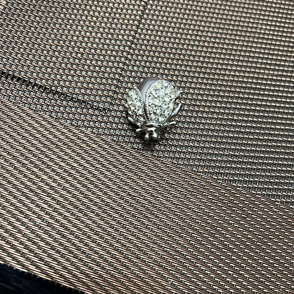 Ladybug Brooch